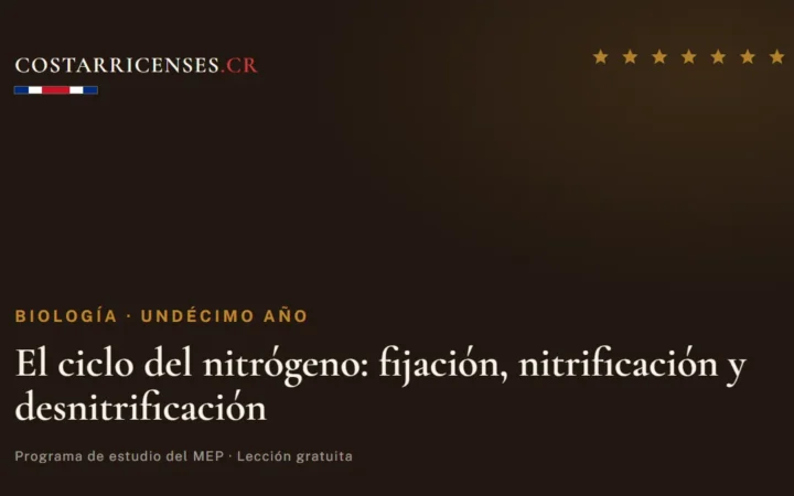 El ciclo del nitrógeno: fijación, nitrificación y desnitrificación — Biología, Undécimo año