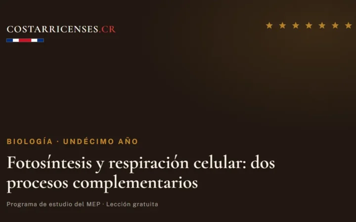 Fotosíntesis y respiración celular: dos procesos complementarios — Biología, Undécimo año