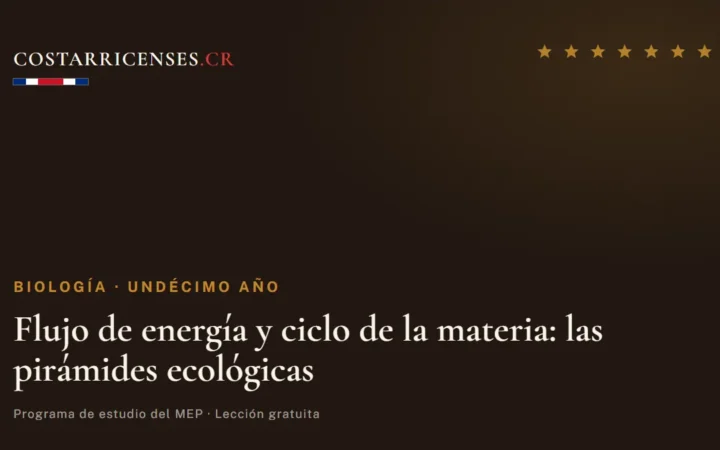 Flujo de energía y ciclo de la materia: las pirámides ecológicas — Biología, Undécimo año