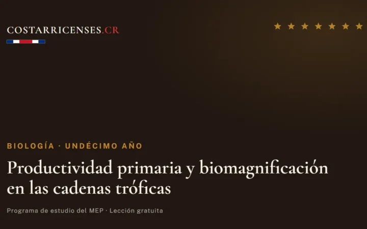 Productividad primaria y biomagnificación en las cadenas tróficas — Biología, Undécimo año